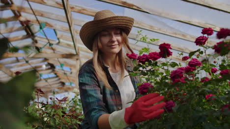 hermosa florista en delantal y guantes rosados de pie y felizmente trabajando con flores en el invernadero.