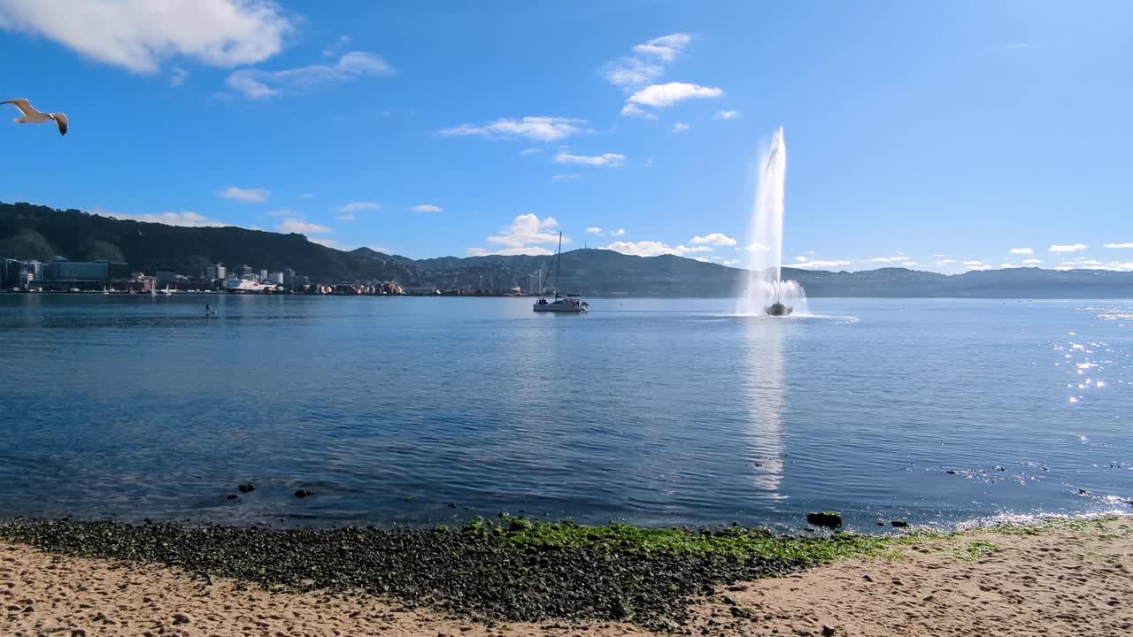 Yacht on Wellington harbour with water fountain at Oriental Parade in capital city Wellington, New Zealand Aotearoa