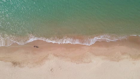 aerial 4k drone footage of person walking on a beach in coma-ruga