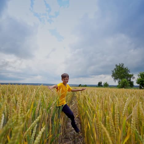 little boy on yellow meadow. child in yellow t-shirt runs and has fun in the wheat field in summer day. kid playing outdoors.
