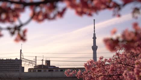 train running on elevated tracks with iconic tokyo skytree in backdrop