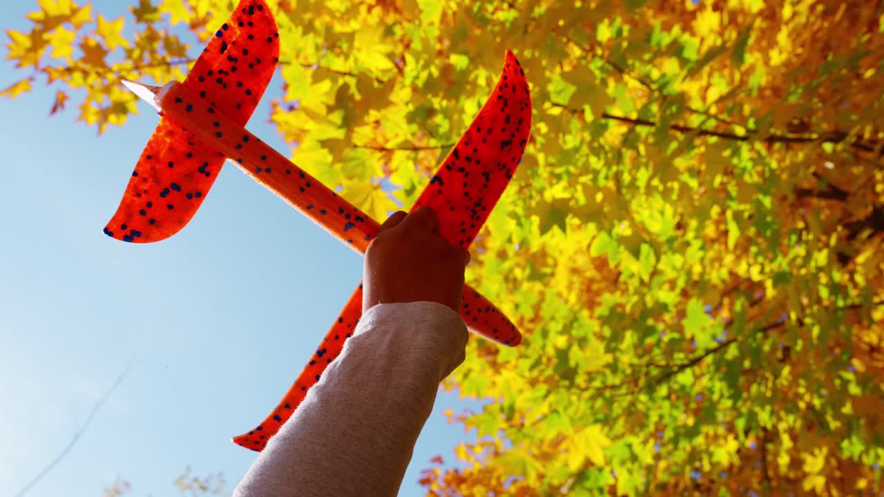 Child's Hand Holding Toy Airplane Against Autumn Leaves and Blue Sky