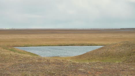 arctic tundra landscape with small pond