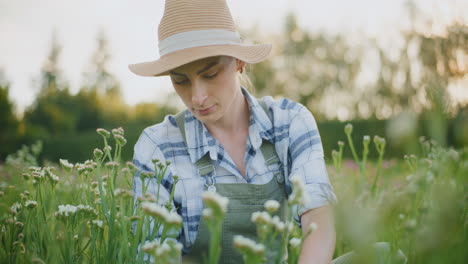 woman gardening in a flower field