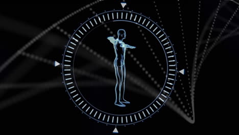 animación digital de un modelo humano girando contra la estructura del adn en fondo negro