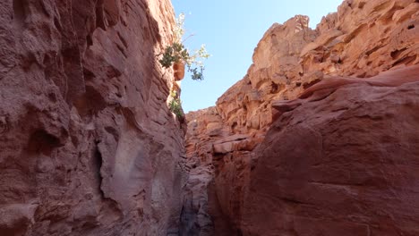 a wide shot from inside the coloured canyon in egypt, tilting down on a bright sunny day