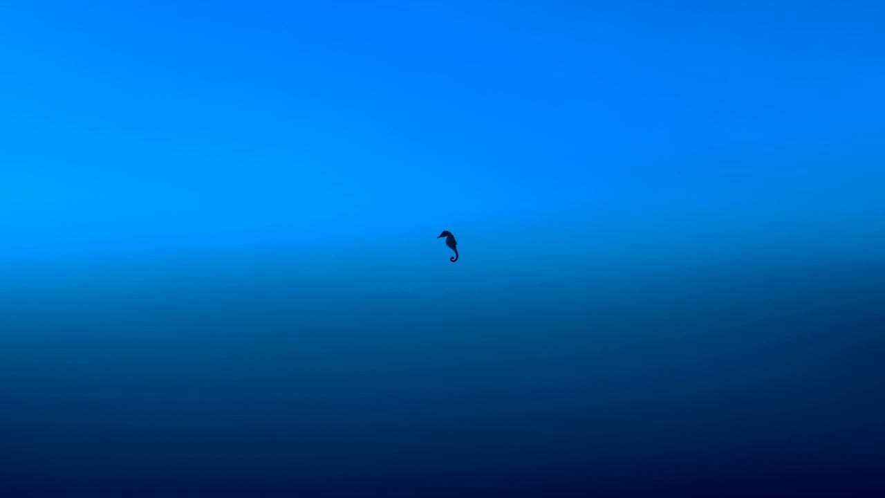 A lone dark bird appears near the center of a calm blue sky, creating a minimal composition with soft atmospheric light and open negative space