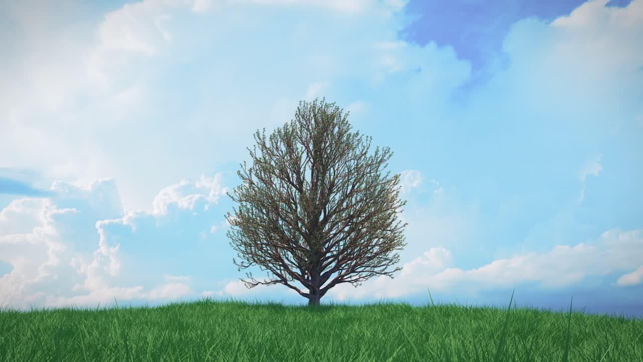 풍경 속 의 나무 들