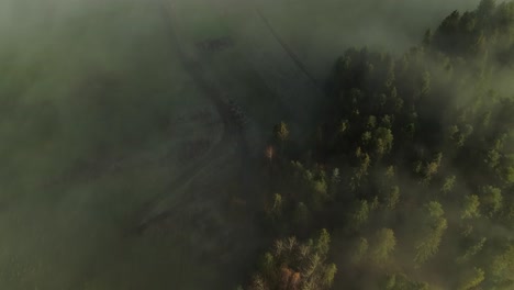 rural european countryside with mythical mist covering landscape, aerial