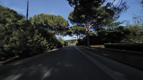 La-Grande-Notte-City-Carretera-Vacía-Con-Pinos-Al-Sur-De-Francia-Día-Soleado