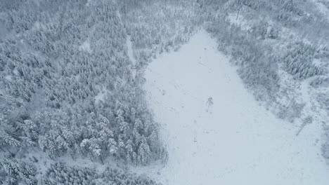 Winter-forest-landscape,-high-altitude-aerial-view-with-clouds