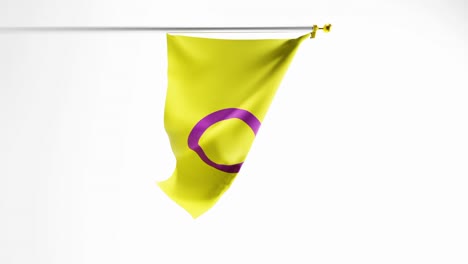 vertical video of intersex pride flag flapping against white background