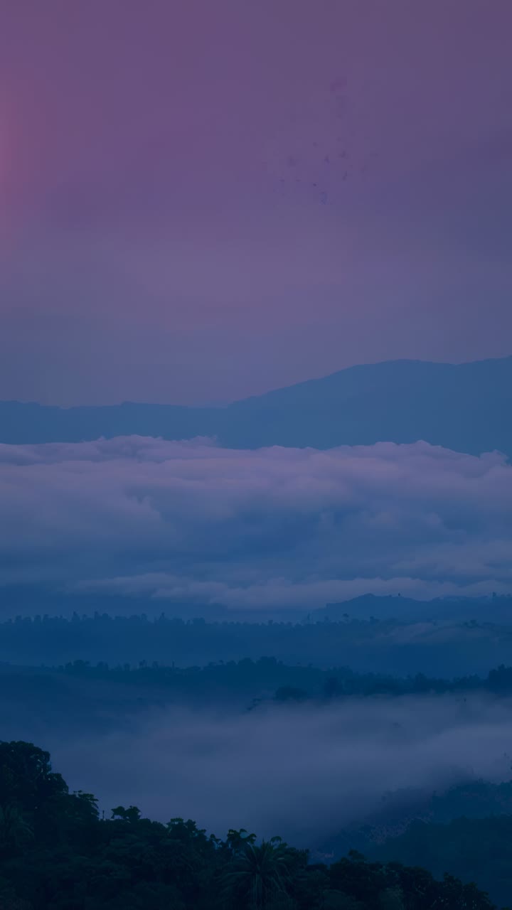Vertical video: Dawn warming valley, fog and mid clouds shifting, with left forest and pink glow