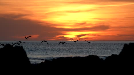 Espectacular-Puesta-De-Sol-Con-Tonos-Vibrantes-Sobre-Un-Mar-En-Calma,-Siluetas-De-Pájaros-En-Vuelo