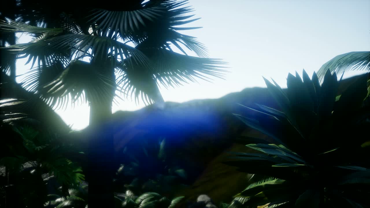 los rayos del atardecer a través de las palmeras