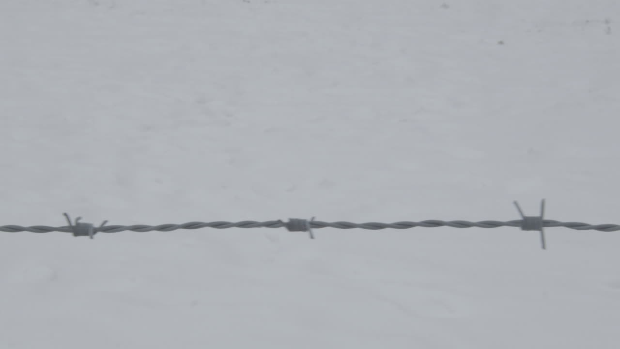 배경에 눈이 있는 철조망 위의 돌리