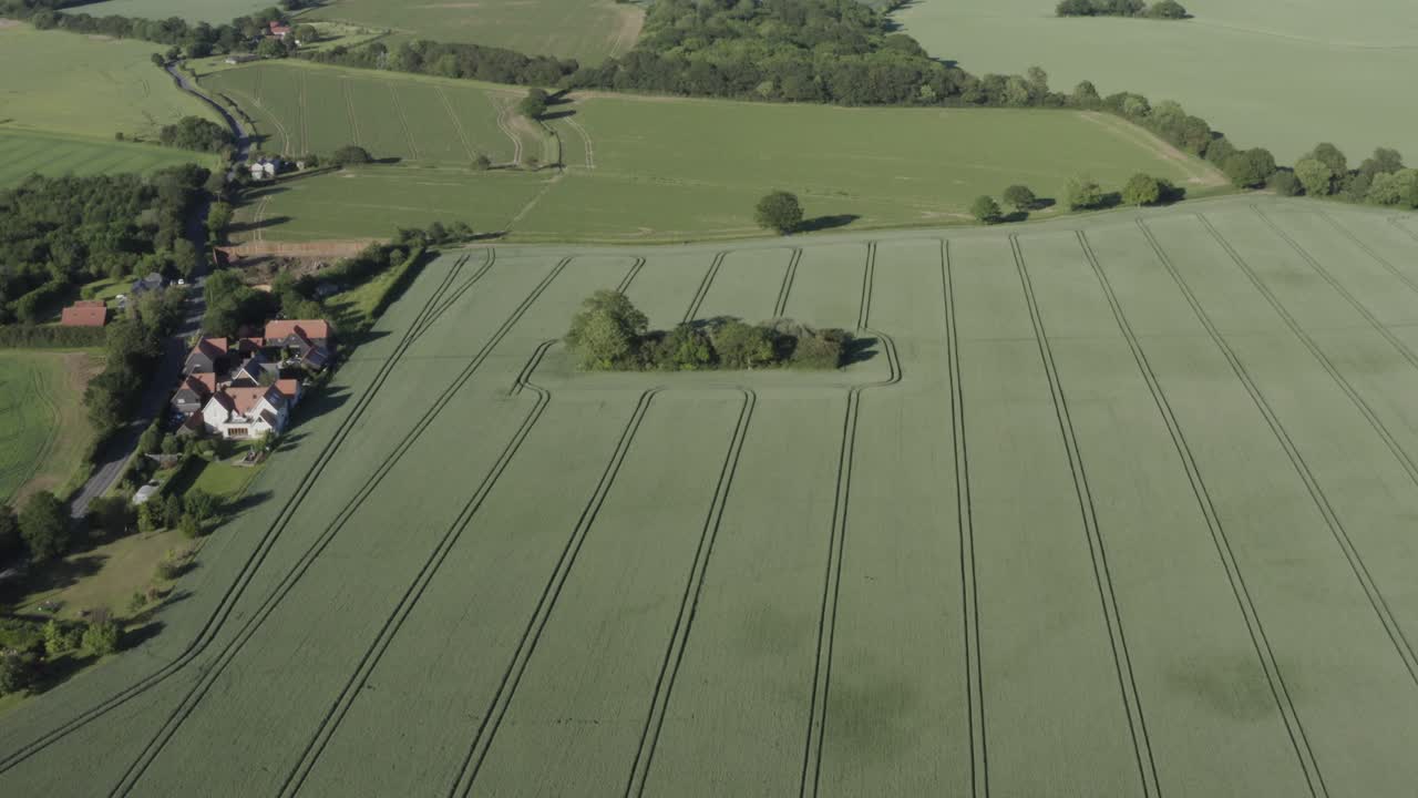 halstead, castle hedingham, essex에 완벽하게 준비된 무성한 녹색 농부 들판