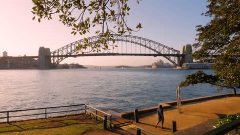 man walking at blues point sydney