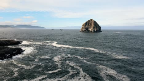 slow aerial tracking shot of birds flying off the coast from cape kiwanda