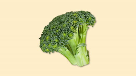 digitally generated video of broccoli