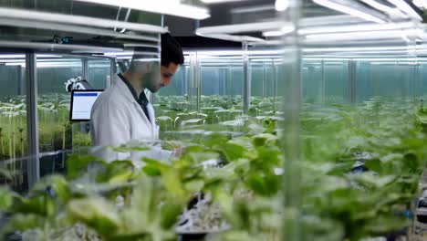 automated plant growth in a controlled environment lab