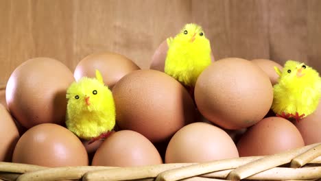 toy chickens sit between eggs
