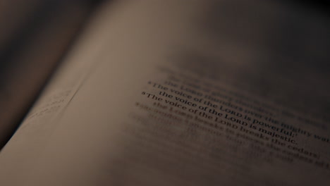 close-up of a book page at night