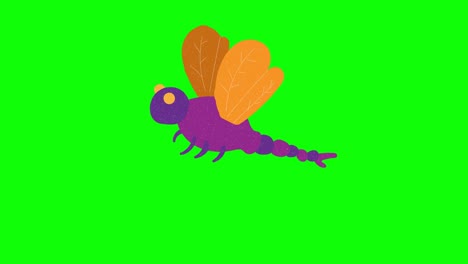 dragonfly hand drawn green screen. floating loop animation