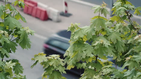 Reger-Verkehr-Auf-Der-Zweispurigen-Straße-Der-Stadt