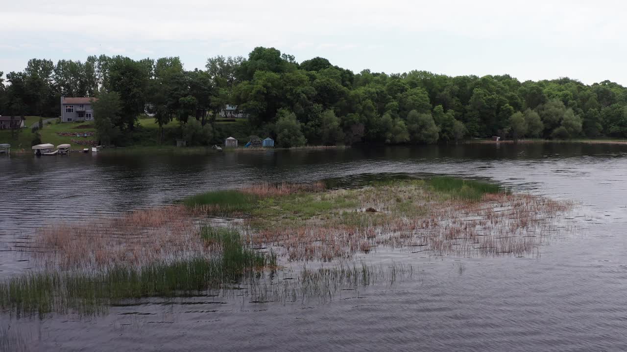 toma aérea inclinada hacia abajo en una pequeña isla cubierta de hierba en medio de un lago