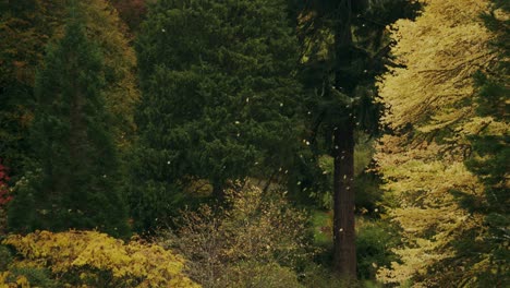 złote jesienne liście zdmuchnięte z drzew w arboretum w parku botanicznym