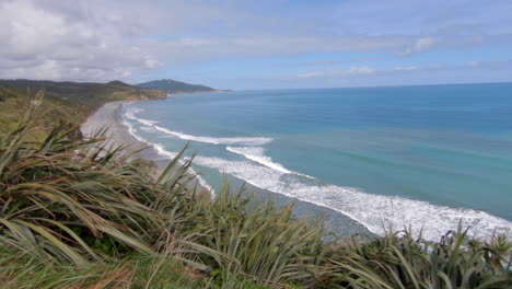 wide shot of a costline in new zealand, plants and flowers in the foreground, in the background are waves which hitting the beach on a beautiful sunny day