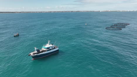 un buque marino de tamaño mediano remolca cuatro granjas de peces a lo largo de la costa occidental de australia.