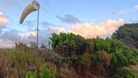 a wind sock flutters in the breeze along the scenic great ocean road, surrounded by lush greenery and a vibrant sky