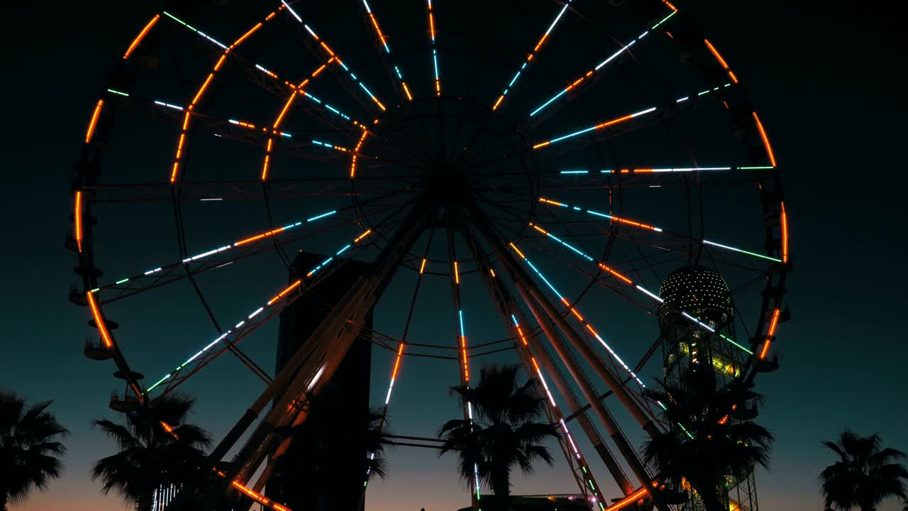 luces de la rueda gigante por la noche y palmeras