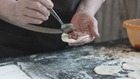 two hands making meat dumplings.