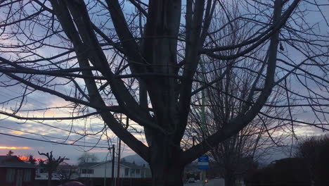 Sunset-through-power-lines-above-a-calm-neighborhood