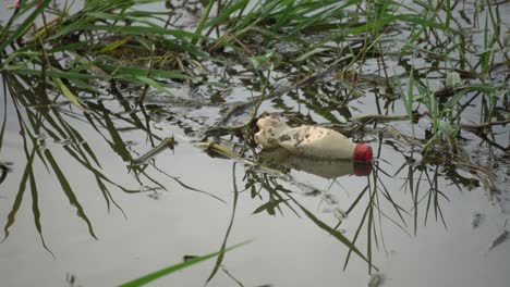 Botella-De-Plástico-En-El-Río.