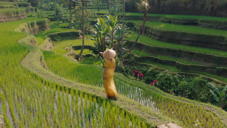 woman walking in rice paddy wearing yellow dress with conical hat exploring lush green rice terrace in cultural landscape exotic vacation through bali indonesia discover asia