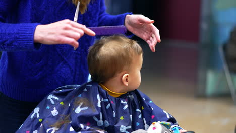 baby getting a haircut