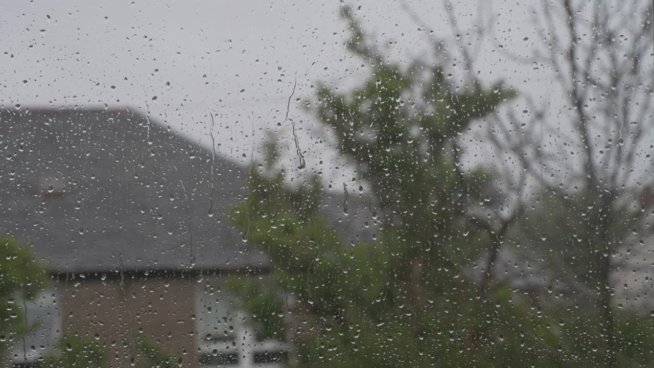 도시 환경에서 바람과 비의 근접