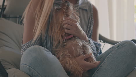 Female-Petting-Her-Little-Dog-At-Home