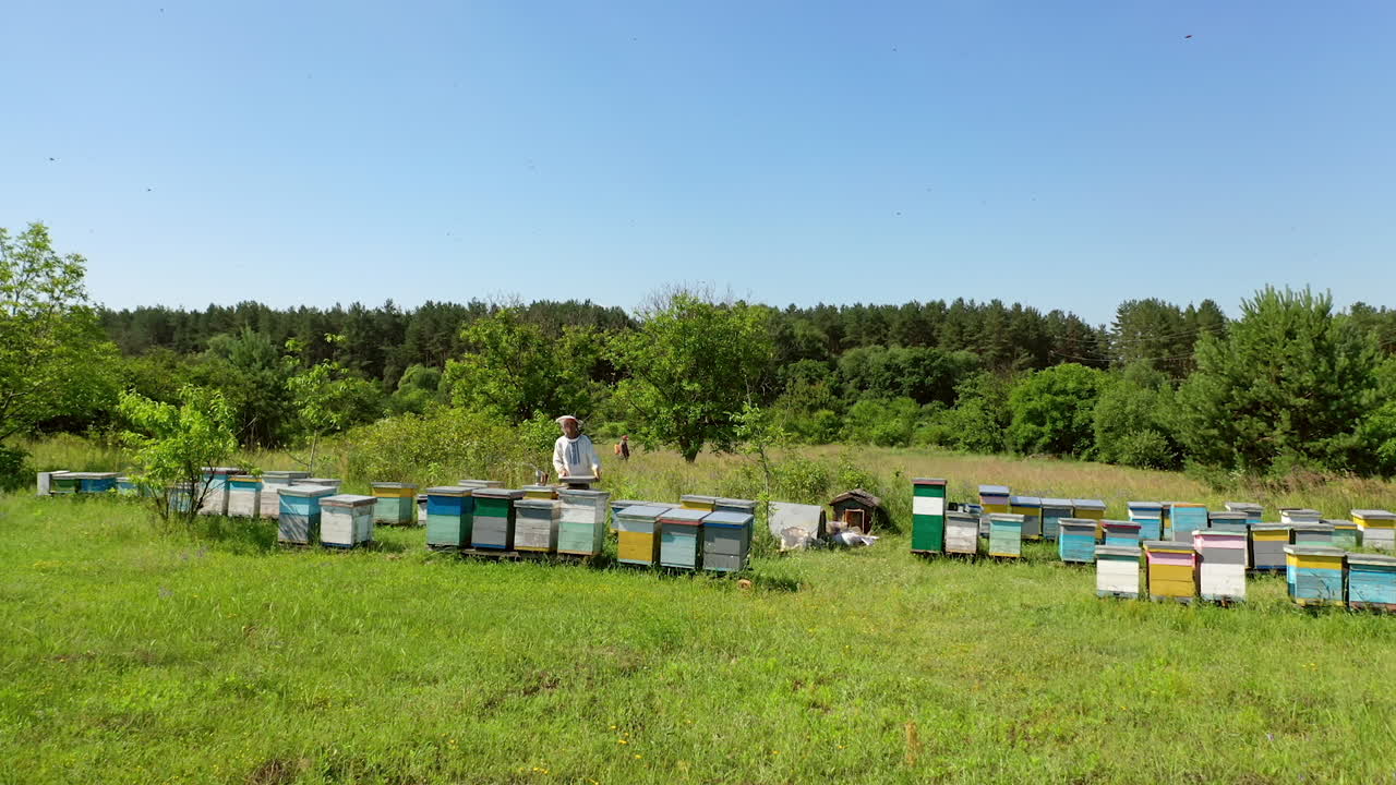 Wooden hives in green nature. Beekeeper in a protective hat works in an apiary. Experienced apiarist in a bee farm garden. Apiculture concept.