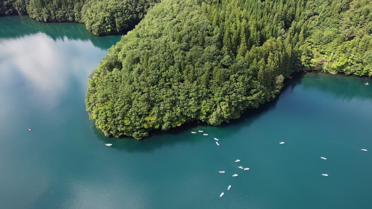 Aerial View of a Lake with Boats and Forest
