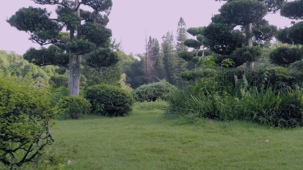 Taman Jepang di Santo Domingo, Republik Dominika