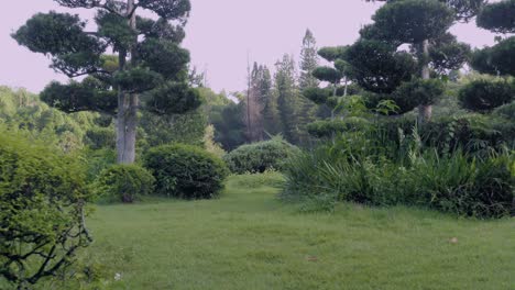 japanese garden  in santo domingo, dominican republic