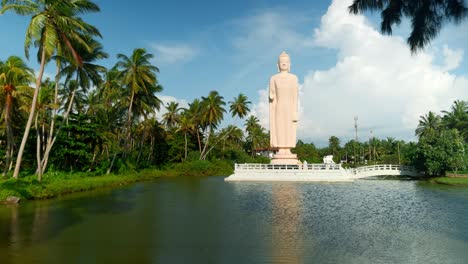 giant buddha statue in a tropical paradise