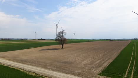 a drone shot over lonely trees in the field, in the background wind turbines, rotating propellers, a field road in the foreground