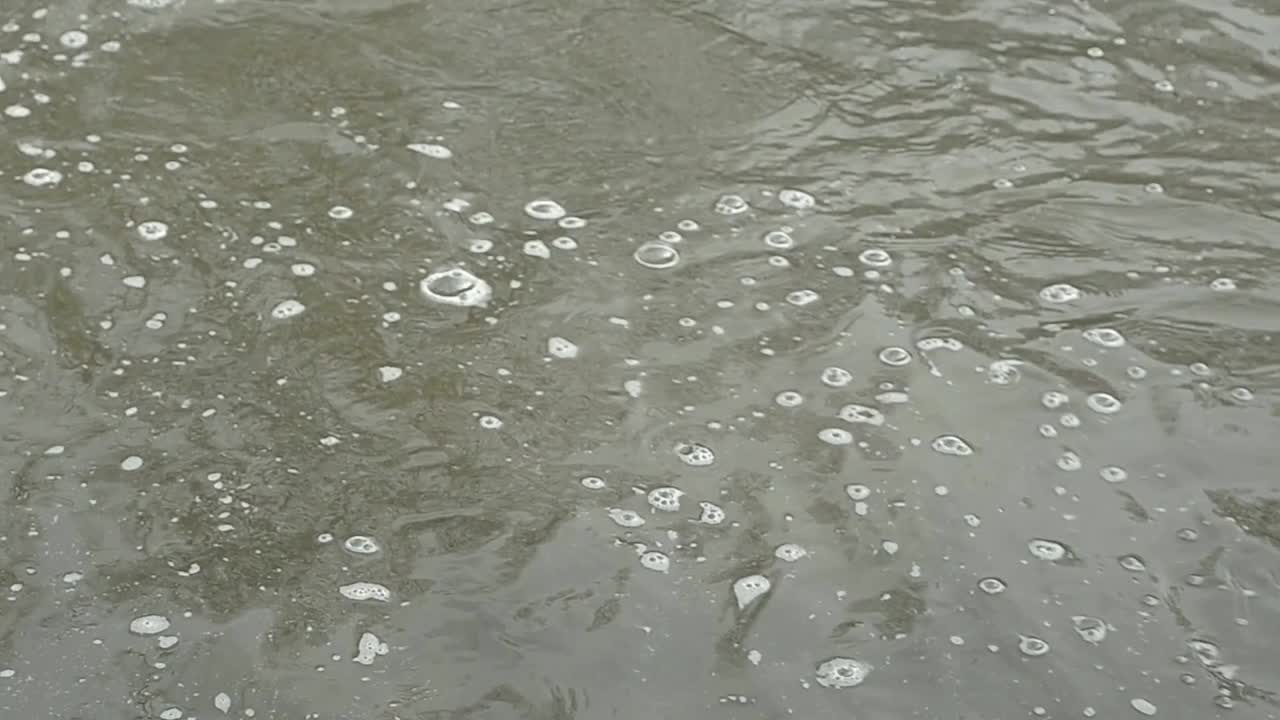 물이 흐르고 거품이 일다