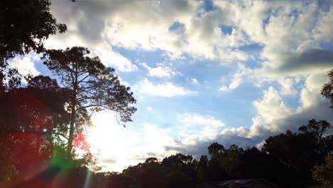 lapso de tiempo de puesta de sol sobre naborhood con árboles altos